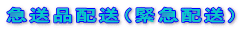 急送品配送（緊急配送） 